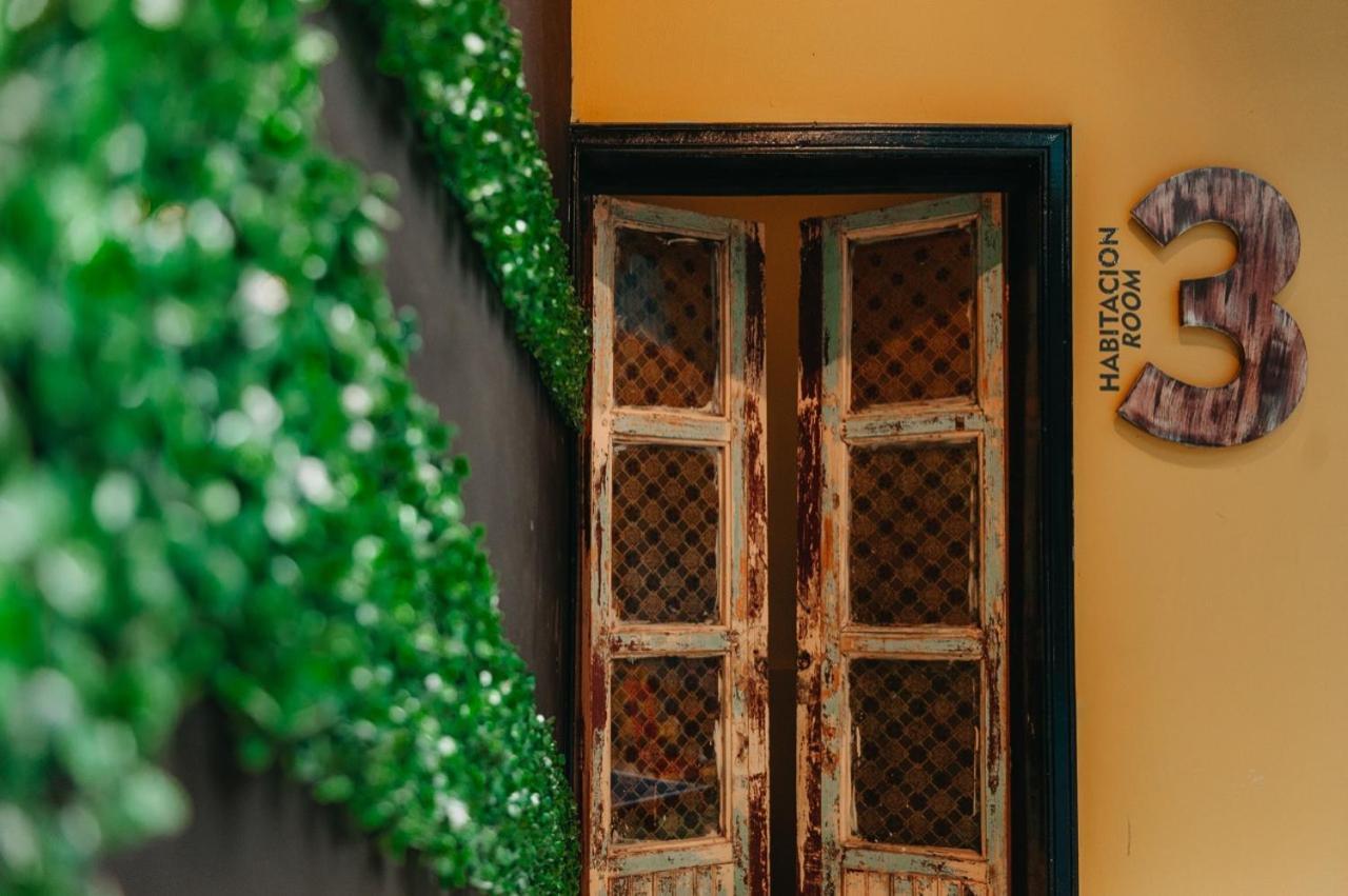 Xanticohostal إبياليز المظهر الخارجي الصورة